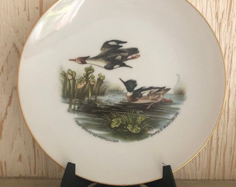8" Red Breasted merganser Plate by John James Audubon, Bavaria Germany
