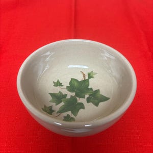 May include: A small, off-white ceramic bowl with a green ivy leaf design. The bowl has a rounded shape and a smooth, glossy finish. The ivy leaves are clustered in the center of the bowl.