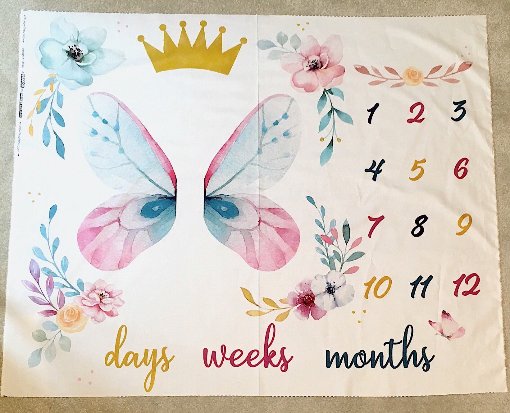 Milestone Baby blanket printed fabric panel Oh how they grow Robert