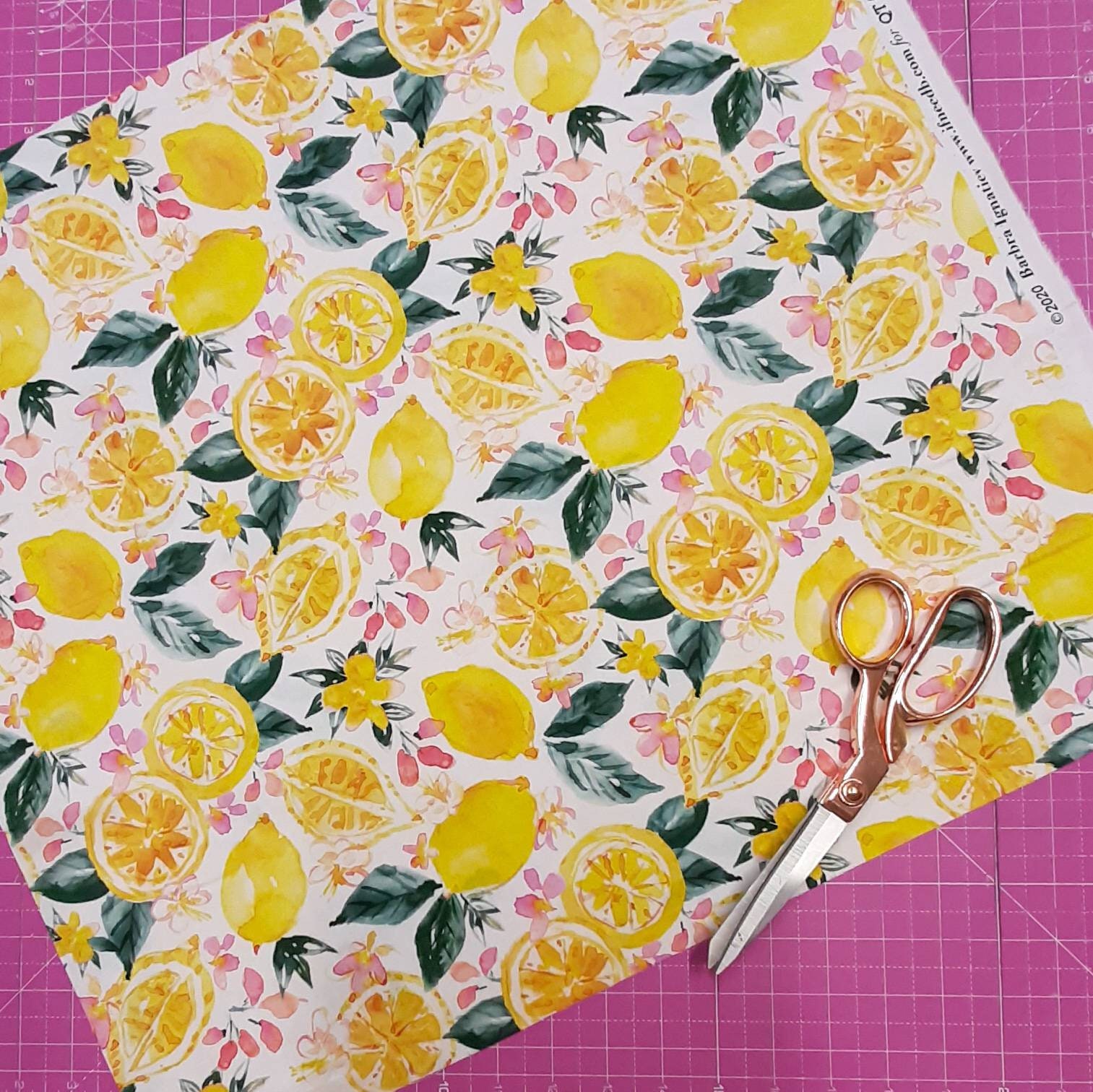 Fruit woven cotton by Barbara Ignatiev Printed fruit fabric QT