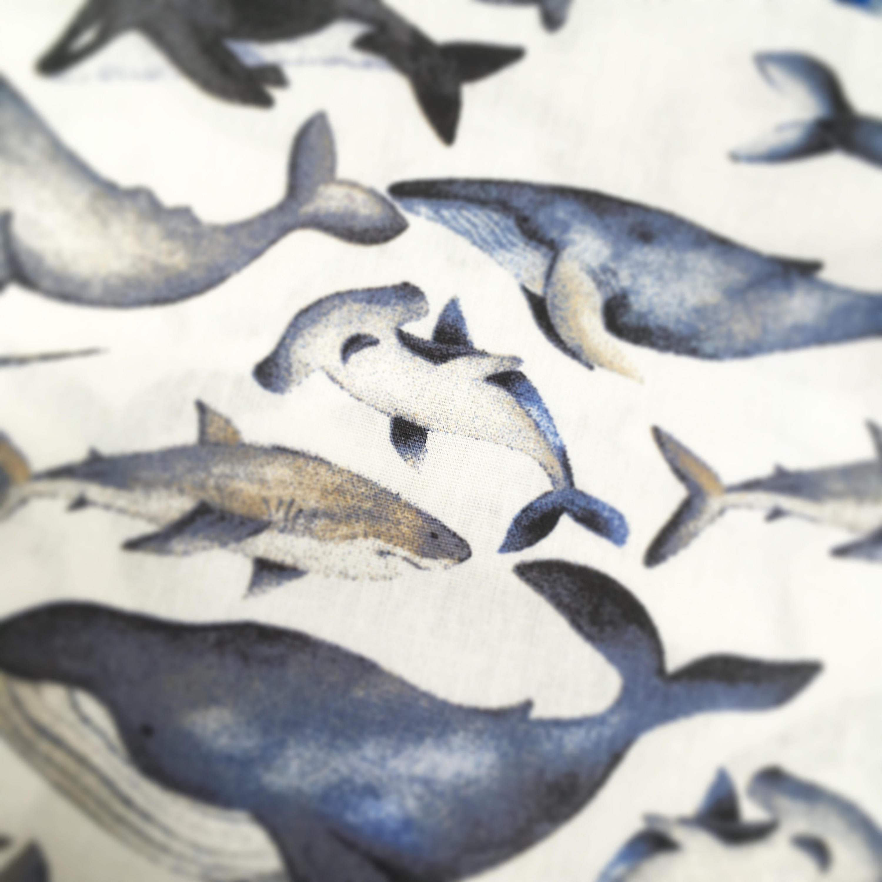 Whale print cotton, shark print cotton, hammerhead shark, Studio Jepson