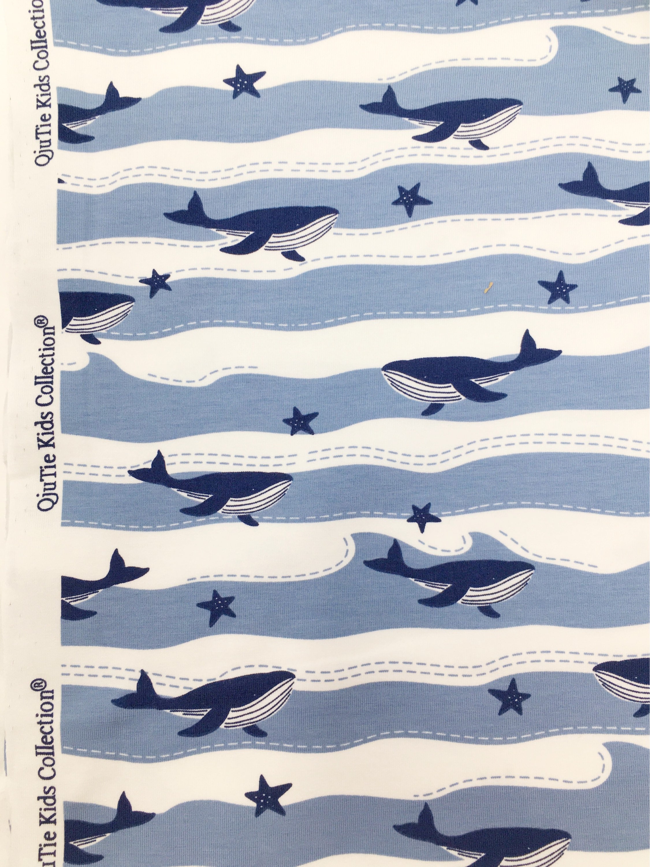 whale jersey fabric