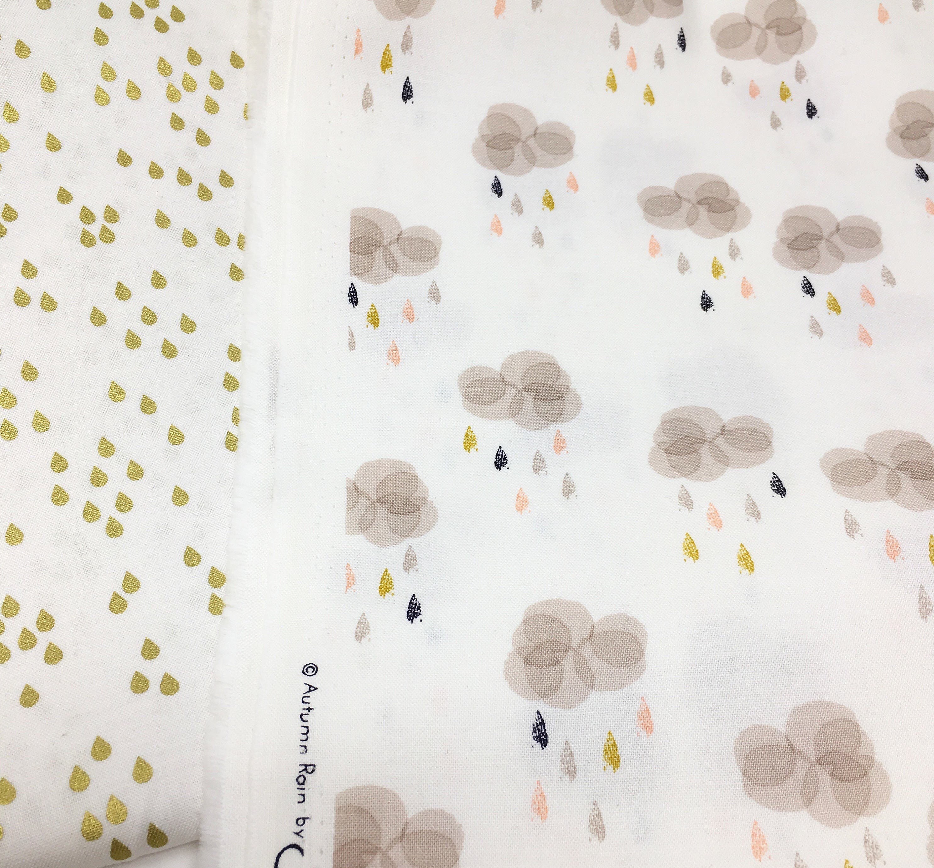 Cloud fabric by the Metre Dashwood fabric Autumn Rain Cloud Fabric Unisex nursery decor