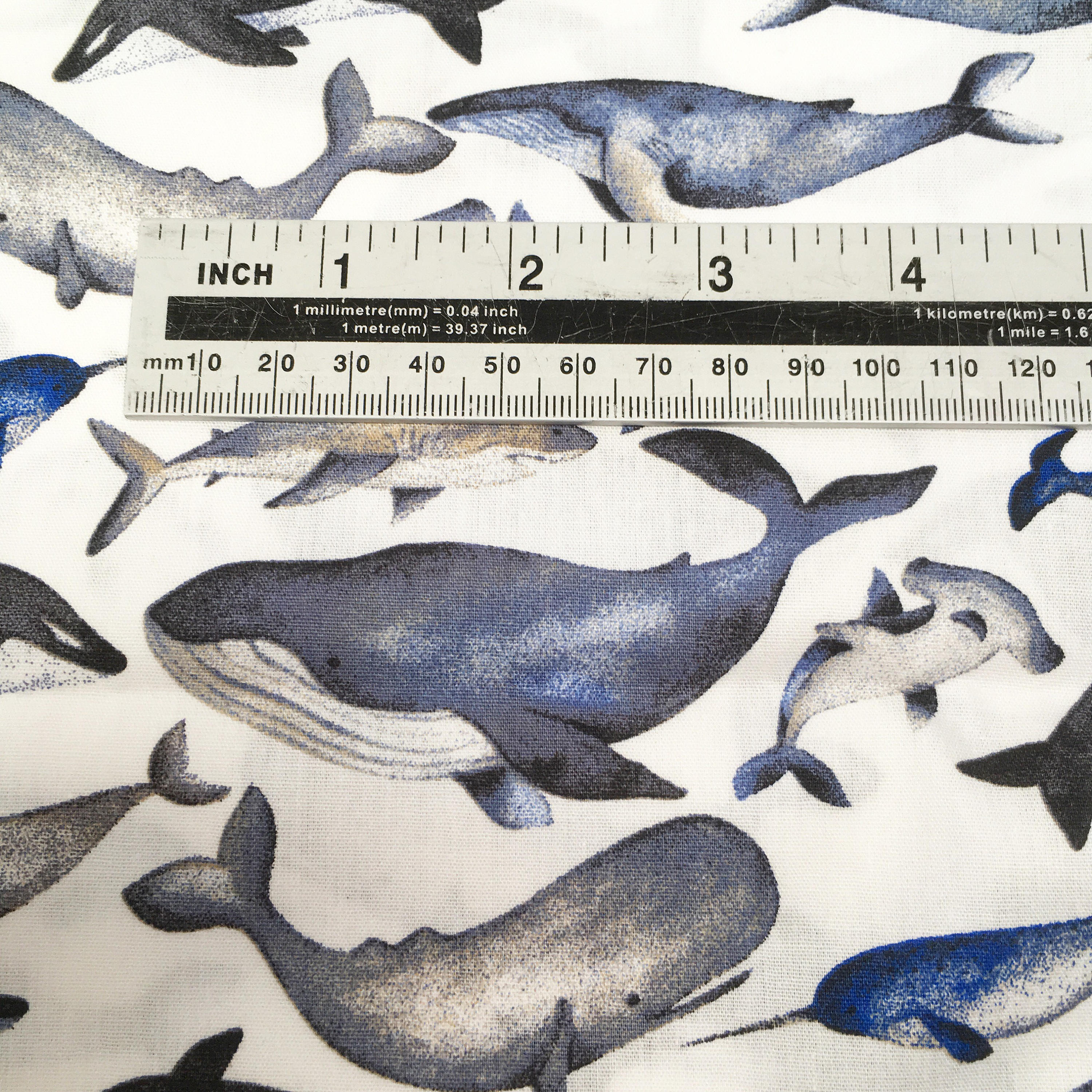 Whale print cotton, shark print cotton, hammerhead shark, Studio Jepson