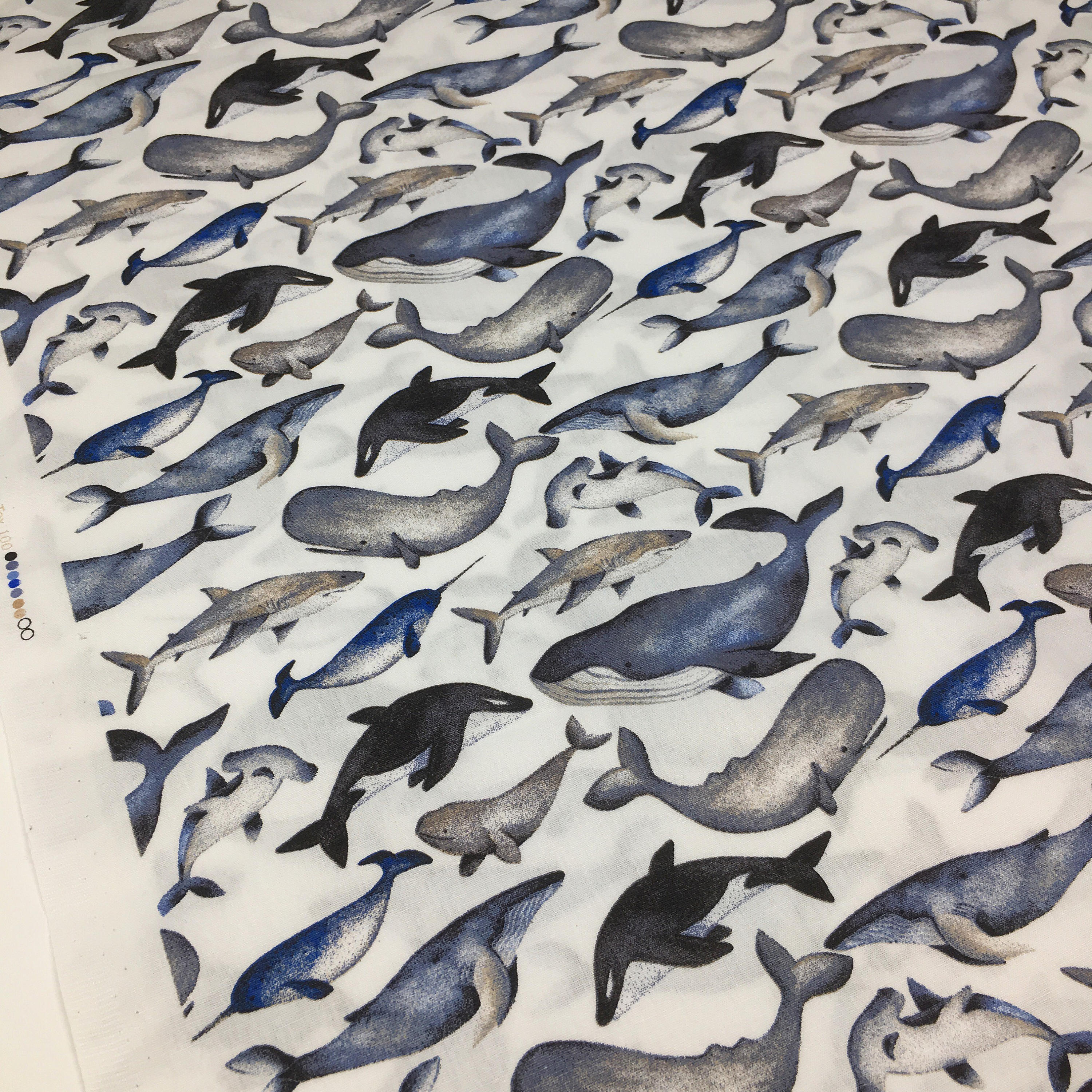 Whale print cotton, shark print cotton, hammerhead shark, Studio Jepson