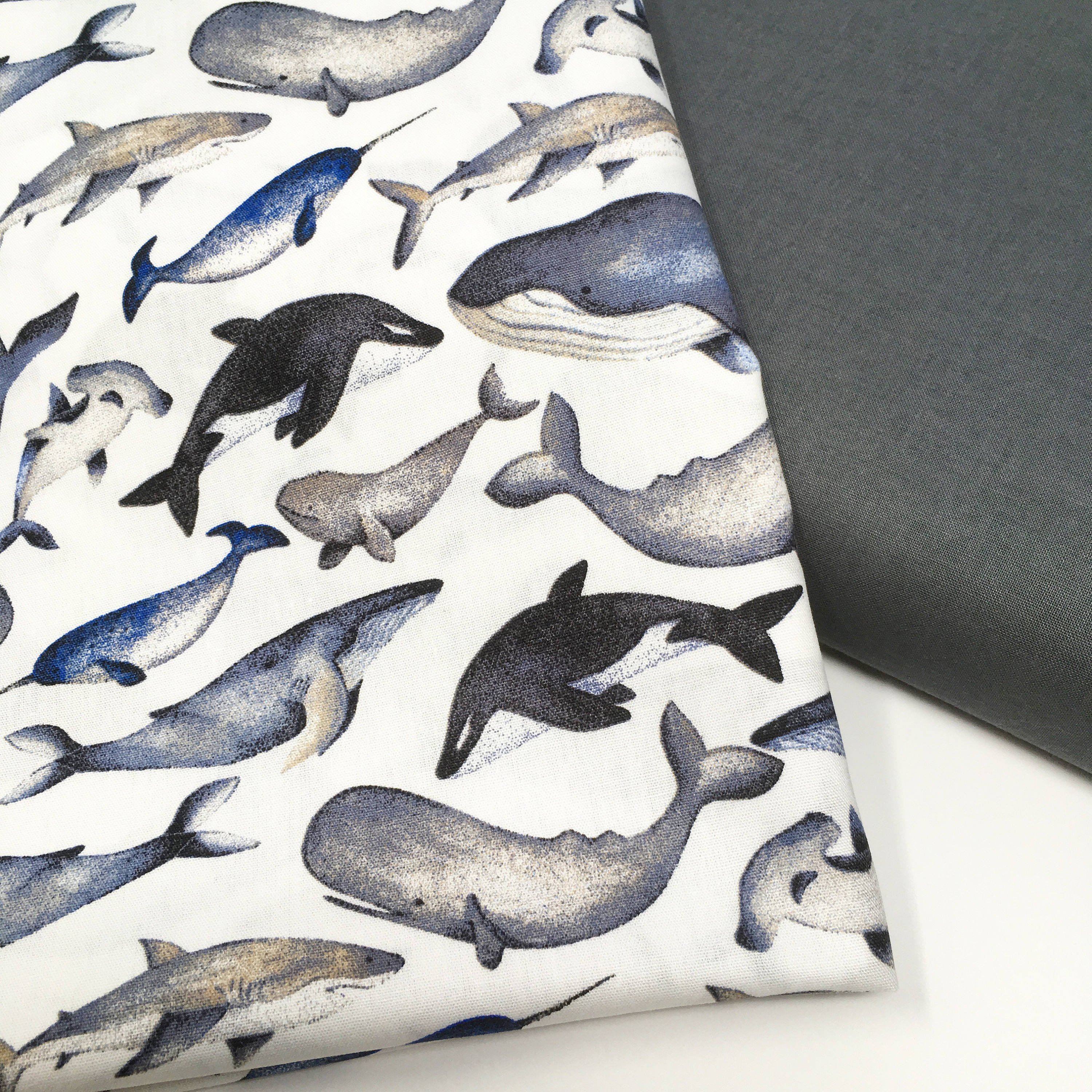 Whale print cotton, shark print cotton, hammerhead shark, Studio Jepson
