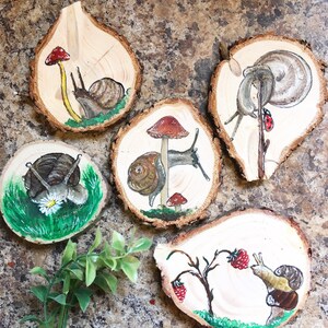 Cottagecore Snail ornamenten / magneten / wanddecoratie