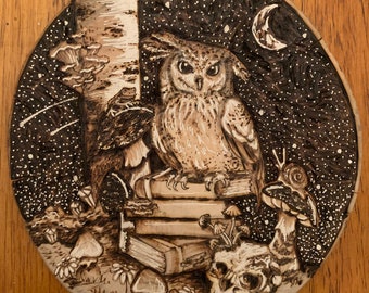 May include: A woodburned image of an owl perched on a stack of books, with a skull, mushrooms, and a crescent moon in the background. The owl has large, round eyes and a detailed feather pattern. The background is a dark, starry night.