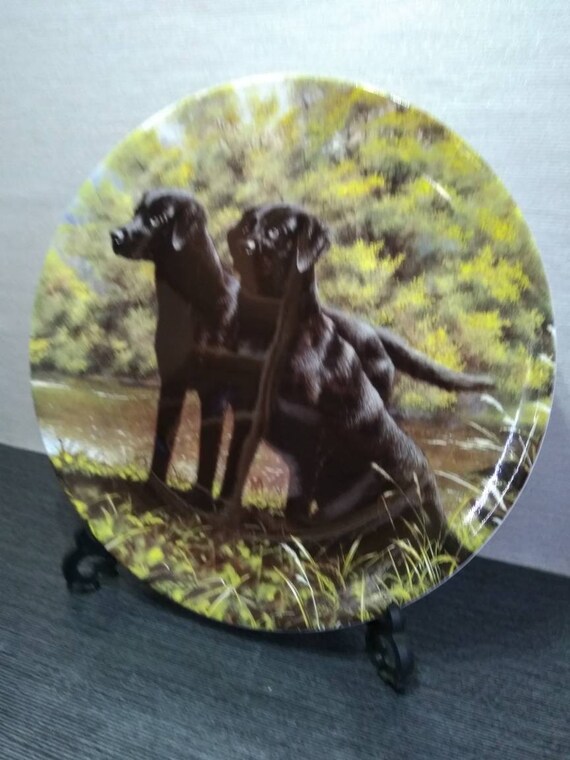 Wedgewood Decorative Black Labrador Plate. Etsy