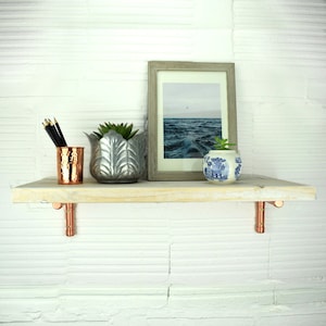 May include: A white wooden shelf with copper brackets, featuring a silver planter with a succulent, a copper cup with pencils, a blue and white porcelain planter with a succulent, and a framed photograph of a seascape.