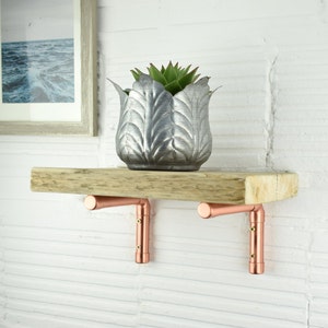 May include: A rustic wooden shelf with copper pipe brackets. The shelf is mounted on a white brick wall and has a small potted succulent plant on top.