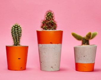 Concrete Cactus Pot Set of 3/ Concrete Planters, Cactus/ Succulent Plant Pots, Handmade, Orange - Includes Cactus or Succulent