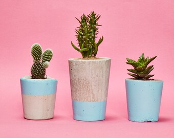 Concrete Cactus Pot Set of 3/ Concrete Planters - Cactus/ Succulent Plant Pot, Handmade, Pastel Blue - Includes Cactus or Succulent