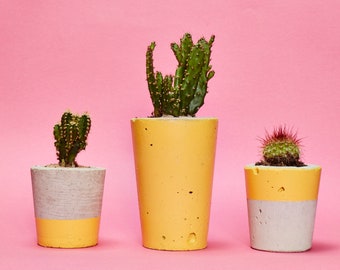 Concrete Cactus Pot Set of 3/ Concrete Planter, Hi Cacti, Cactus/ Succulent Plant Pot, Handmade, Yellow - Includes Cactus and Succulent