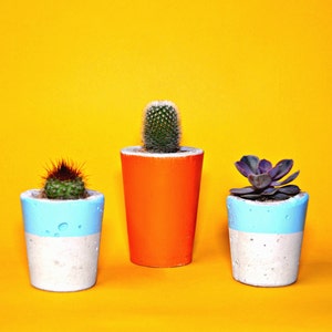 Concrete Cactus Pot/ Concrete Planter, Cactus/ Succulent Plant Pot, Handmade, Orange, Small Size Includes Cactus or Succulent image 6