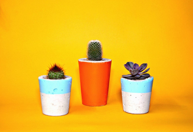 Concrete Cactus Pot/ Concrete Planter, Cactus/ Succulent Plant Pot, Handmade, Orange, Small Size Includes Cactus or Succulent image 6