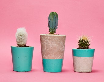 Concrete Cactus Pot Set of 3/ Concrete Planter, Cactus/ Succulent Plant Pot, Handmade, Turquoise - Includes Cactus and Succulent