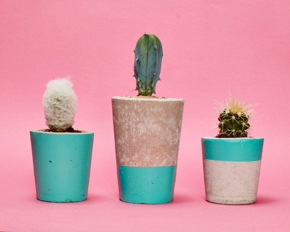 Lil Prick succulent planteroffice decor