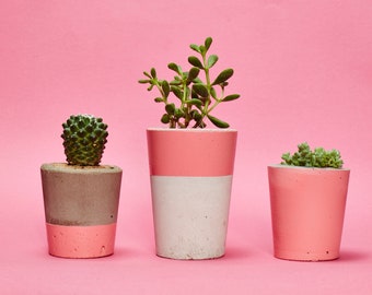 Concrete Cactus Pot Set of 3/ Concrete Planter, Planter, Cactus/ Succulent Plant Pot, Handmade, Pink - Includes Cactus and Succulent