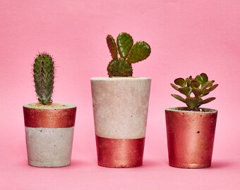 Concrete Cactus Pot Set of 3/ Concrete Planter -  Cactus/ Succulent Plant Pot, Handmade, Copper - Includes Cactus and Succulent