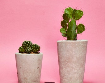 Concrete Cactus Pot/ Concrete Planter, Cactus/ Succulent Plant Pot, Handmade, Hi Cacti, Planter - Includes Cactus or Succulent