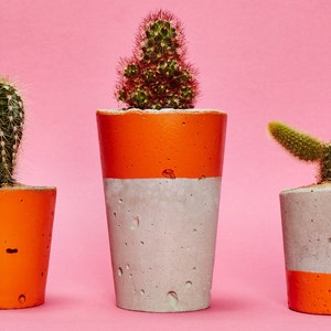 Concrete Cactus Pot/ Concrete Planter, Cactus/ Succulent Plant Pot, Handmade, Orange, Small Size Includes Cactus or Succulent image 3