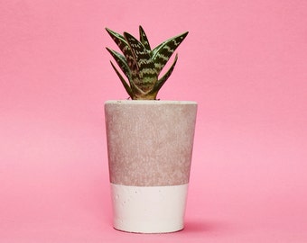 Concrete Cactus Pot/ Concrete Planter, Succulent Plant Pot, Handmade, Cream White, Tall Size- Includes Cactus or Succulent.