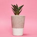 see more listings in the Concrete Pots section