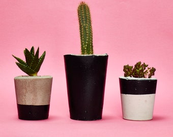 Concrete Cactus Pot Set of 3 / Concrete Planter, Hi Cacti -  Cactus/ Succulent Plant Pot, Handmade, black - Includes Cactus and Succulent