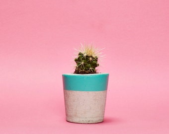 Concrete Cactus Pot/ Concrete Planter, Cactus/ Succulent Plant Pot, Handmade, Hi Cacti, Turquoise, Small Size- Includes Cactus or Succulent