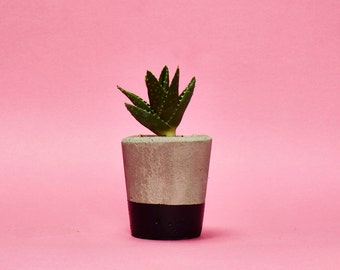 Concrete Cactus Pot/ Concrete Planter, Succulent Plant Pot, Handmade, Hi Cacti, Planter, Black, Small Size- Includes Cactus or Succulent.