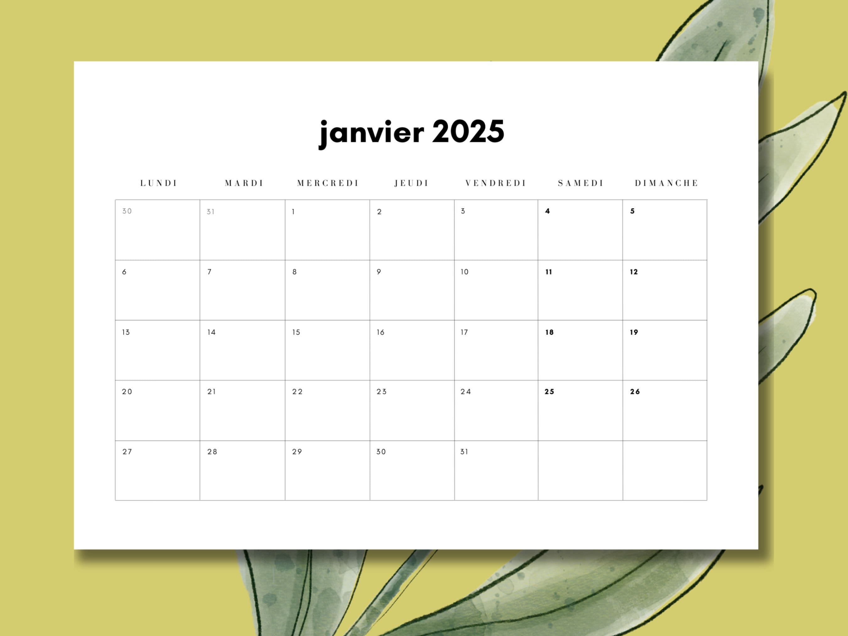 Calendrier Mensuel 2025 Digital à Imprimer En Français // 12 Mois De