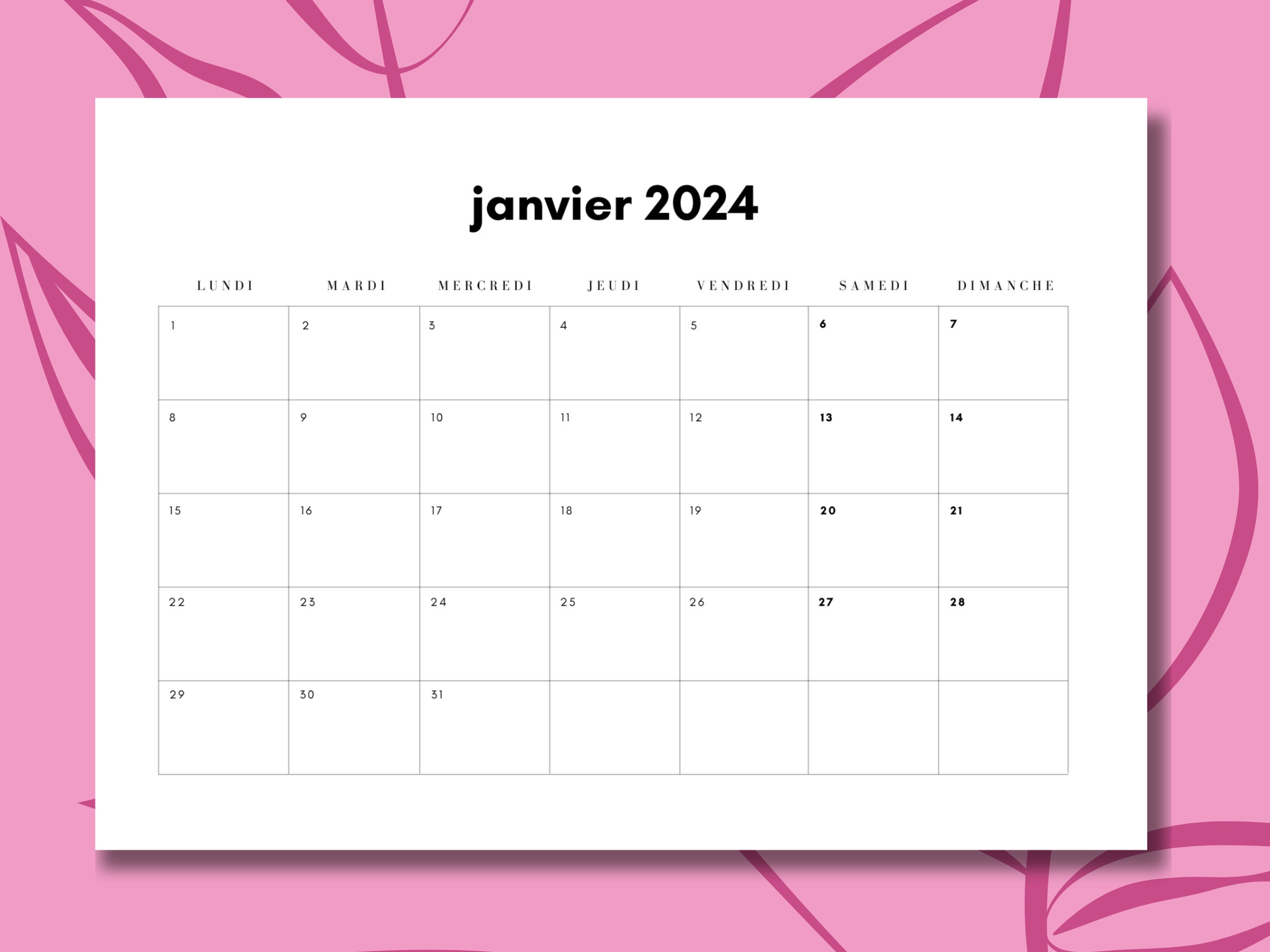 Agenda 2024 Semainier: Planificateur mensuel et hebdomadaire, 1 semaine sur  2 pages, de Janvier à Décembre 2024 de 366 Jours et 12 Mois, A4 (French