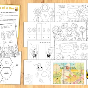 Biene Lebenszyklus Printable | Faltbare Biene Lebenszyklus | Montessori Digitale Karten | Faltbare Biene Lebenszyklus Aktivität | Bienenfärbung