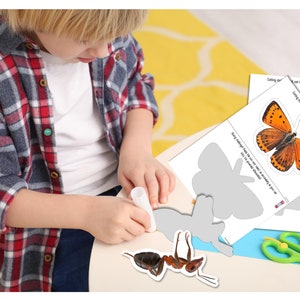 Puede incluir: Un niño usa pegamento para pegar una mariposa de papel a un recorte de mariposa gris. La mariposa es naranja con marcas negras. El niño está sentado en una mesa con tijeras y otros recortes de papel.