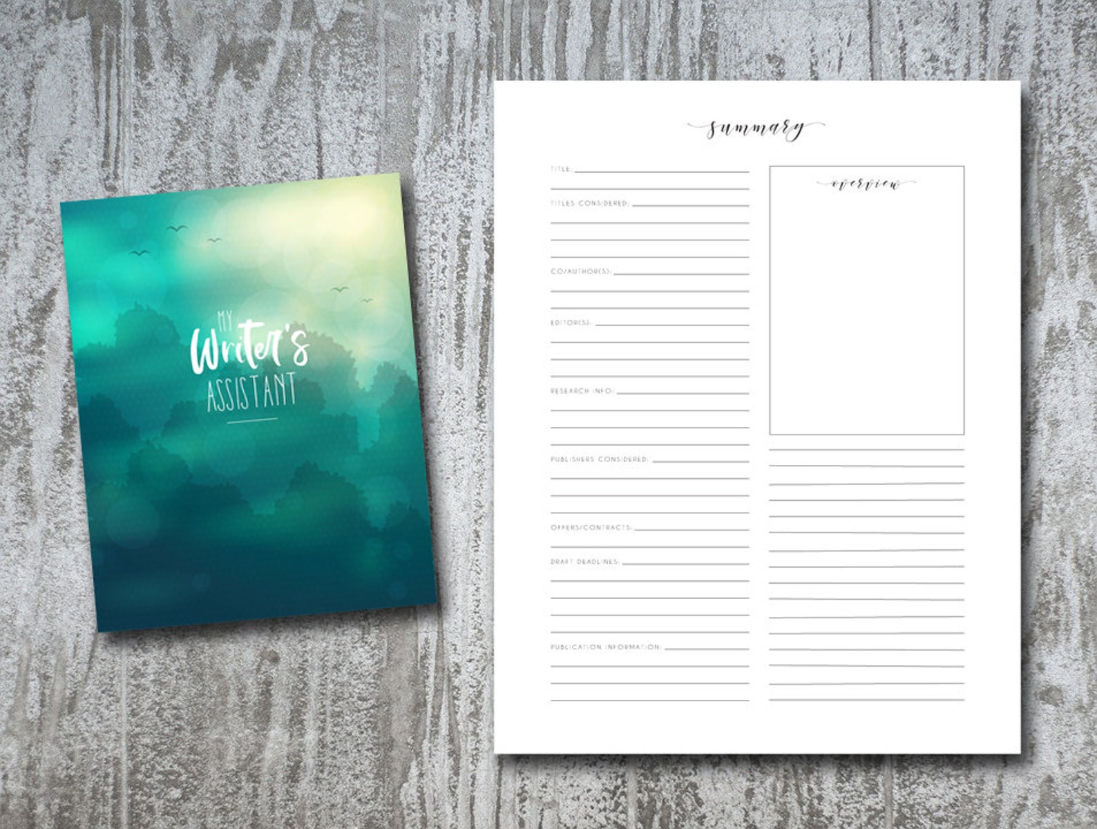 8.5x11 Fiction Novel Writing Planner / Packet Outline - Etsy