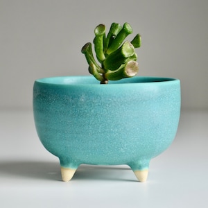 May include: A turquoise ceramic planter with three white legs, featuring a small succulent plant.