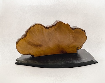 SKWUR: Sculpture made of burl wood with natural slate base, abstract sculpture made of wood