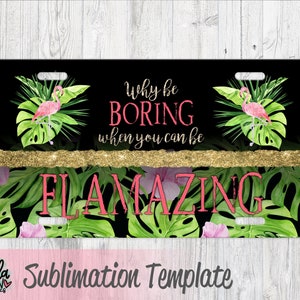 Flamingo Sublimation License Plate Template - Tropical Car Tag Template - Why Be Boring When you Can Be Flamazing License Plate Design - PNG
