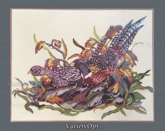 RARE 1983 Needlepoint Kit: PHEASANT PAIR Needlepoint Kit by Candamar, Birds, Pheasants, Nature, Wildlife, Autumn, Fall, wild game, Feathers