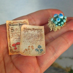 Dos pergaminos mágicos imprimibles, escala 1/12 y 1/6 para casa de muñecas, Poder de los hongos mágicos y hongo maleficus, DESCARGA DIGITAL, tutorial gratuito