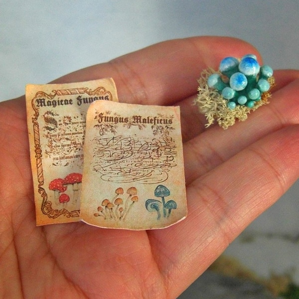 Two printable Magic parchments, 1/12 and 1/6 dollhouse scale, Power of Magic mushrooms and fungus maleficus, DIGITAL DOWNLOAD, free tutorial