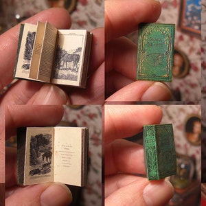 May include: A miniature book titled "Black Beauty" with a green cover and gold lettering. The book is open to a page with an illustration of a horse.