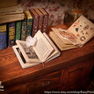 Pu&ograve; includere: Un cassettone in legno in miniatura con due cassetti, una pila di libri antichi e due libri aperti con un fiore bianco sopra uno di essi. I libri hanno titoli come "I Miserabili" e "Oggetti comuni del microscopio".