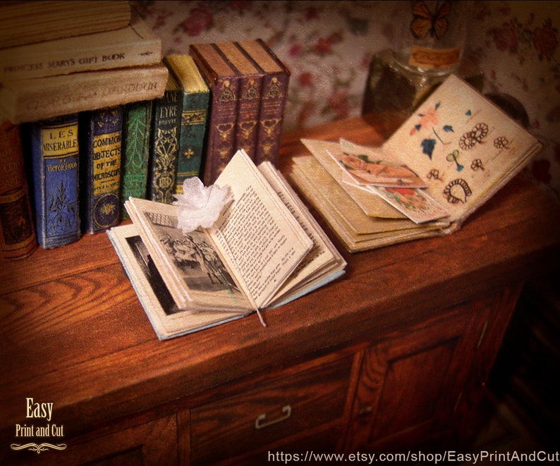 Pu&ograve; includere: Un cassettone in legno in miniatura con due cassetti, una pila di libri antichi e due libri aperti con un fiore bianco sopra uno di essi. I libri hanno titoli come "I Miserabili" e "Oggetti comuni del microscopio".
