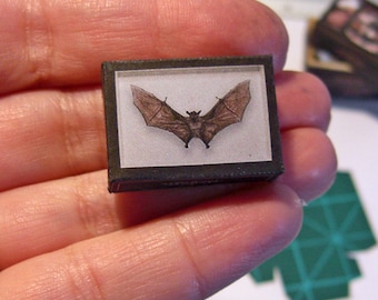 1:12 Miniature Bat Specimen Case | Victorian Oddities Cabinet | Fake Taxidermy Dollhouse | Printable Digital Download with Tutorial