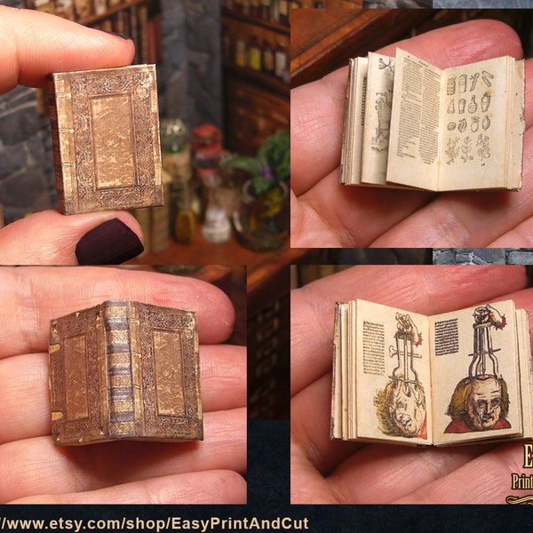 Livre imprimable de chirurgie de campagne médiévale. Miniature illustrée. Maison de poupée. Bricolage médiéval. TÉLÉCHARGEMENT NUMÉRIQUE. 12e. tutoriel. Blythe évolutif