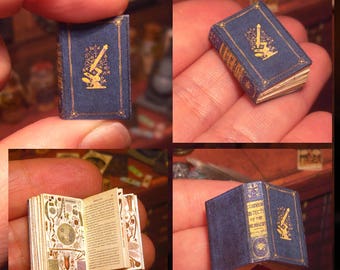 Livre illustré miniature : maison de poupée édition microscope 1861 (téléchargement imprimable)