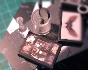 May include: A collection of miniature items displayed on a black surface. The items include a small glass bottle, a magnifying glass in a clear container, a small box with a variety of miniature items, and a card with a black bat illustration.