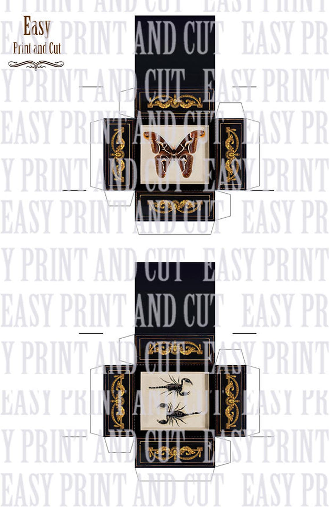 Miniature Specimen Cases Boxes Set . Giant Butterfly and Etsy